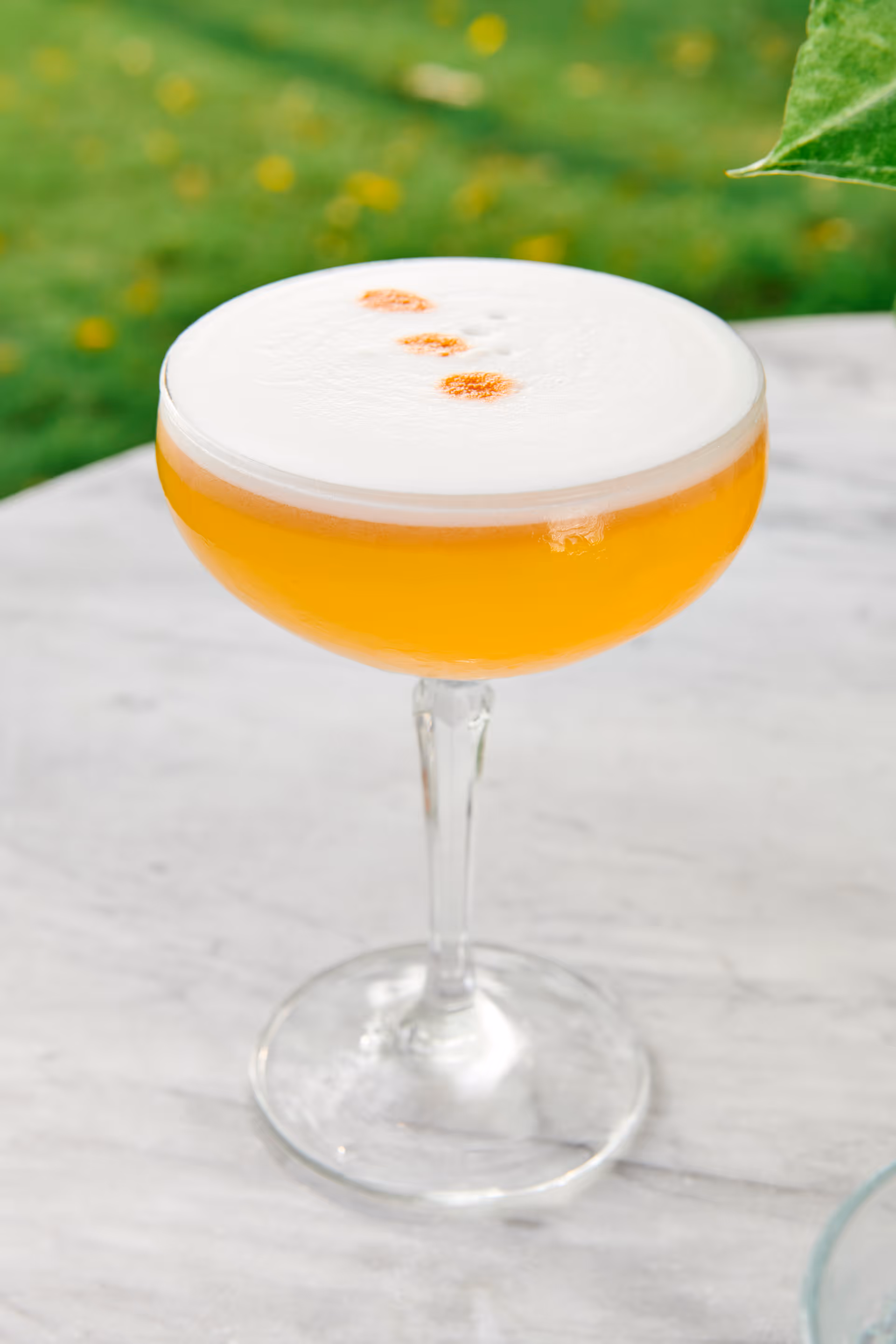 Food gallery – Cocktail