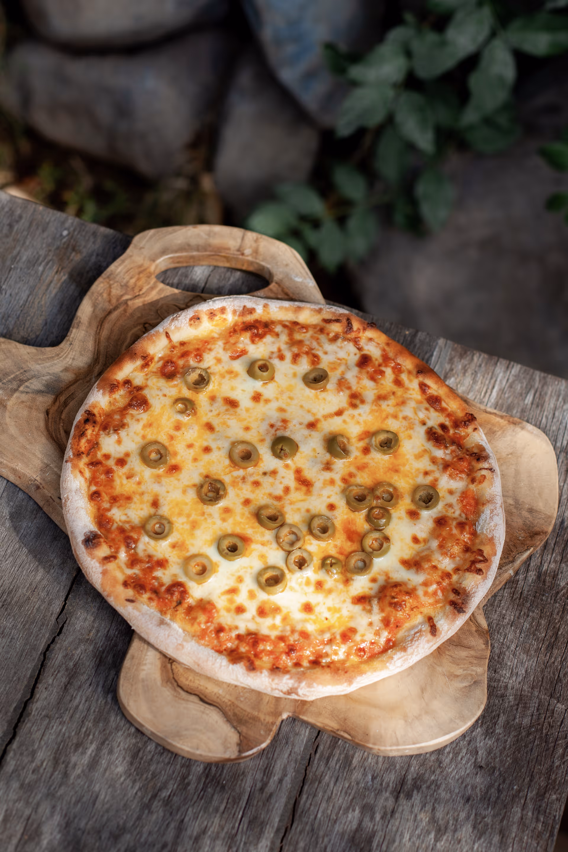 Food gallery – Pizza